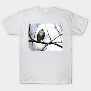 White Crowned Sparrow T-Shirt